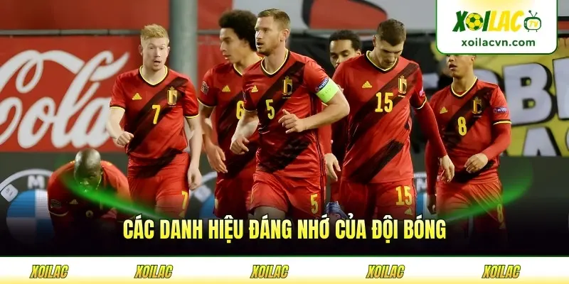 Các danh hiệu đáng nhớ của đội bóng