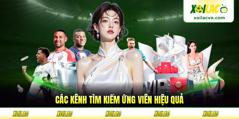 Các kênh tìm kiếm ứng viên hiệu quả thu hút nhân viên tài năng vip