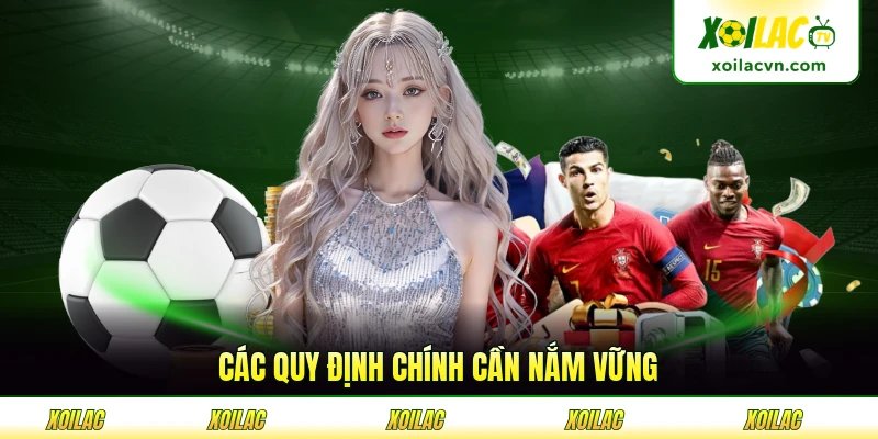 Các quy định chính cần nắm vững