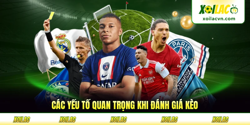 Các yếu tố quan trọng khi đánh giá kèo các đội tham gia góp phần kèo
