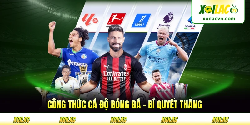 Công Thức Cá Độ Bóng Đá - Bí Quyết Nắm Chắc Công Thức Chiến Thắng