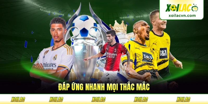 Đáp ứng nhanh mọi thắc mắc