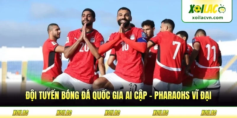 Đội Tuyển Bóng Đá Quốc Gia Ai Cập - Pharaohs Vĩ Đại