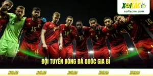 Đội Tuyển Bóng Đá Quốc Gia Bỉ - Sức Mạnh Châu Âu Bền Vững