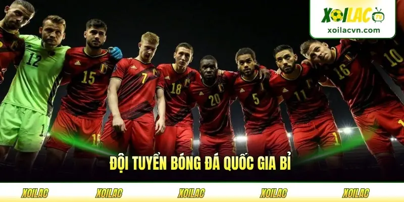 Đội Tuyển Bóng Đá Quốc Gia Bỉ - Sức Mạnh Châu Âu Bền Vững