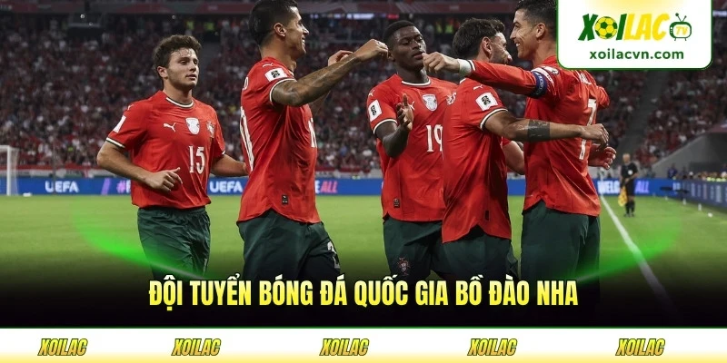 Đội Tuyển Bóng Đá Quốc Gia Bồ Đào Nha - Di Sản Vẻ Vang Số 7