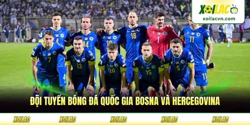 Đội Tuyển Bóng Đá Quốc Gia Bosna Và Hercegovina Cúng Xoilac