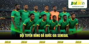 Đội Tuyển Bóng Đá Quốc Gia Senegal - Sư Tử Teranga Vang Danh