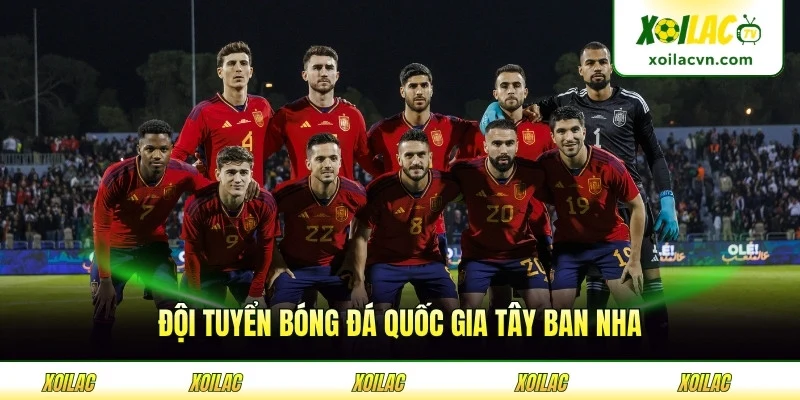 Đội Tuyển Bóng Đá Quốc Gia Tây Ban Nha - Hành Trình Vẻ Vang