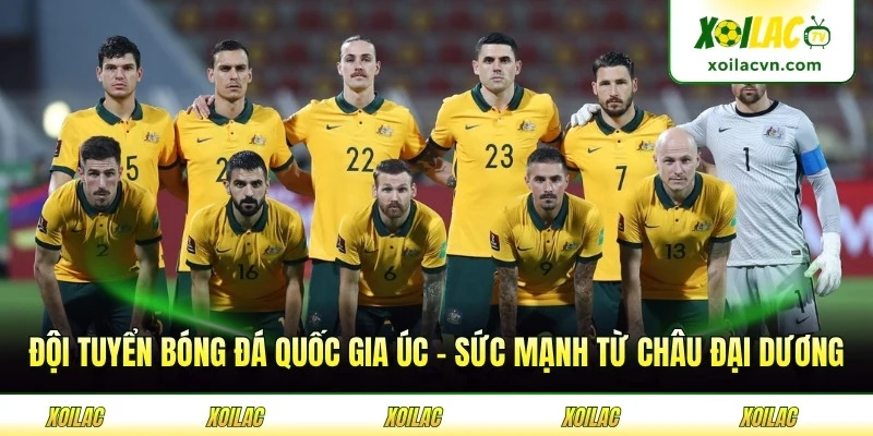 Đội Tuyển Bóng Đá Quốc Gia Úc - Sức Mạnh Từ Châu Đại Dương