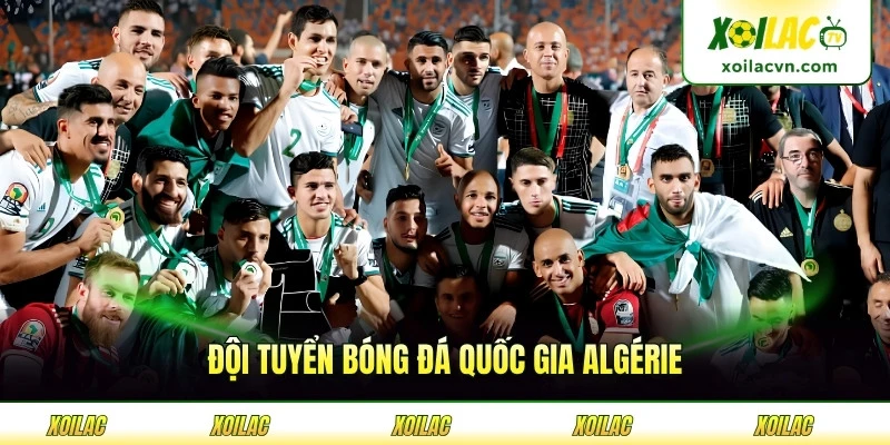 Đội Tuyển Bóng Đá Quốc Gia Algérie - Chiến Binh Bất Khuất