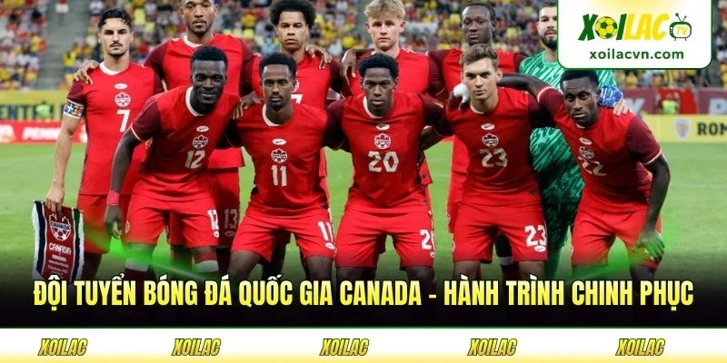Đội Tuyển Bóng Đá Quốc Gia Canada - Hành Trình Chinh Phục