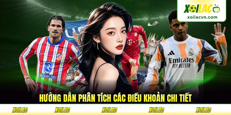 Hướng dẫn phân tích các điều khoản chi tiết
