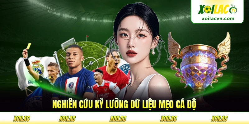 Nghiên cứu kỹ lưỡng dữ liệu mẹo cá độ bóng đá trước giờ bóng lăn