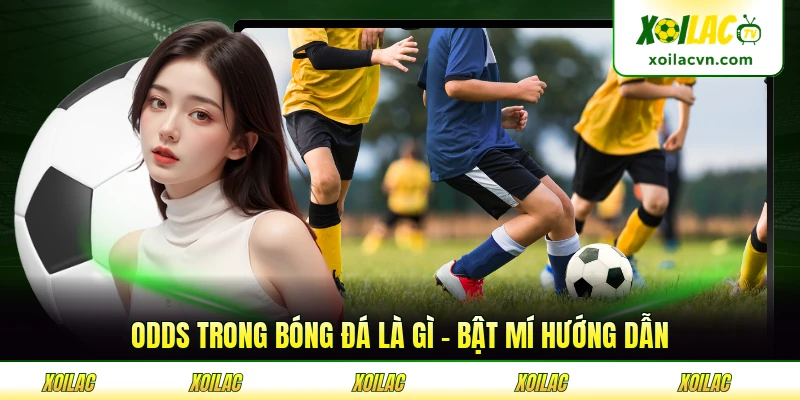 Odds Trong Bóng Đá Là Gì - Bật Mí Hướng Dẫn Toàn Diện