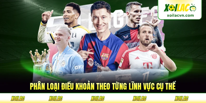 Phân loại điều khoản theo từng lĩnh vực cụ thể
