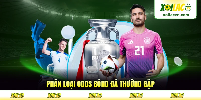 Phân loại odds bóng đá thường gặp