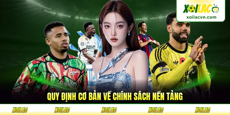 Quy định cơ bản về chính sách nền tảng