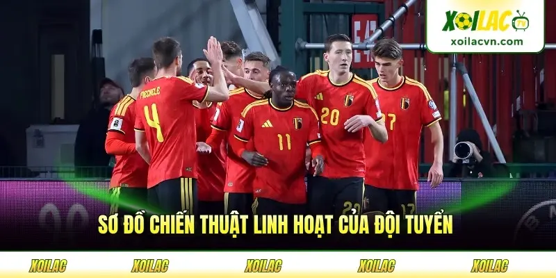 Sơ đồ chiến thuật linh hoạt của đội tuyển cùng hlv kinh nghiệm mọi giải