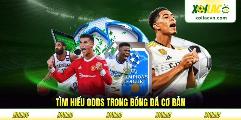 Tìm hiểu odds trong bóng đá cơ bản