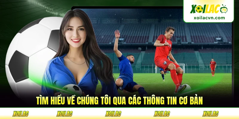Tìm hiểu về chúng tôi qua các thông tin cơ bản