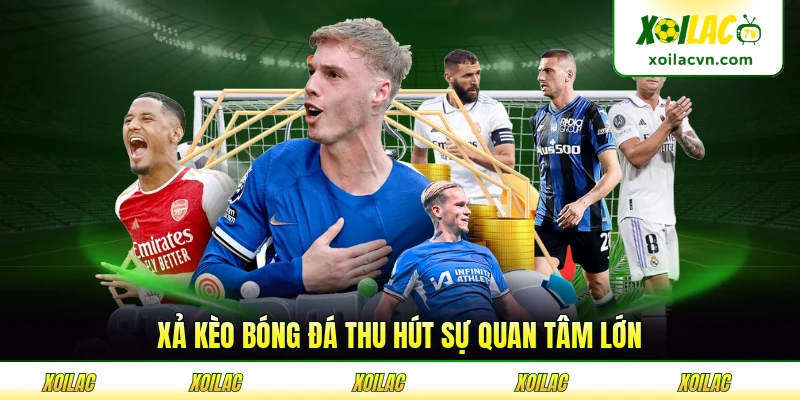 Xả kèo bóng đá thu hút sự quan tâm lớn từ cộng đồng